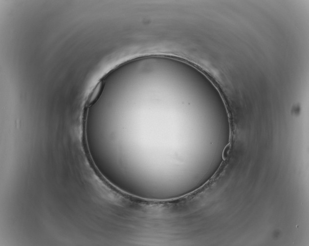 X0000097671512200803142143