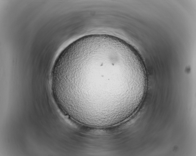 X0000097671517200803142143