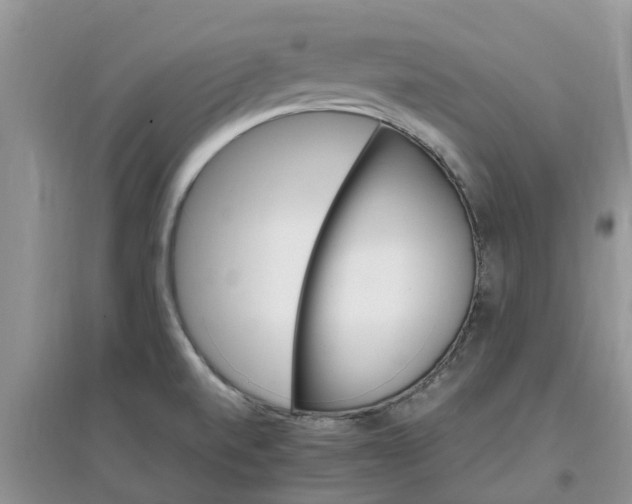 X0000097671520200803142143