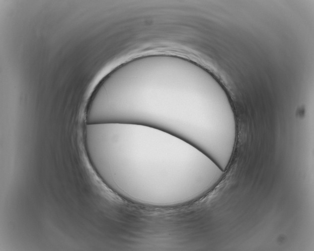 X0000097671522200803142143