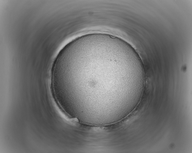 X0000097671523200803142143