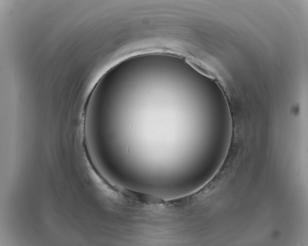 X0000097671524200803142143