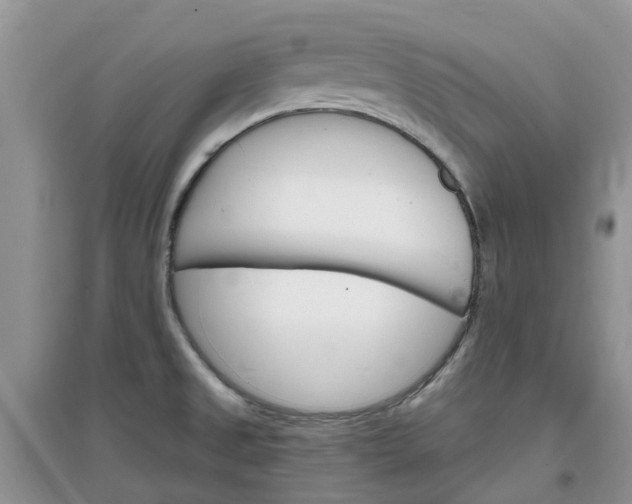 X0000097671525200803142143