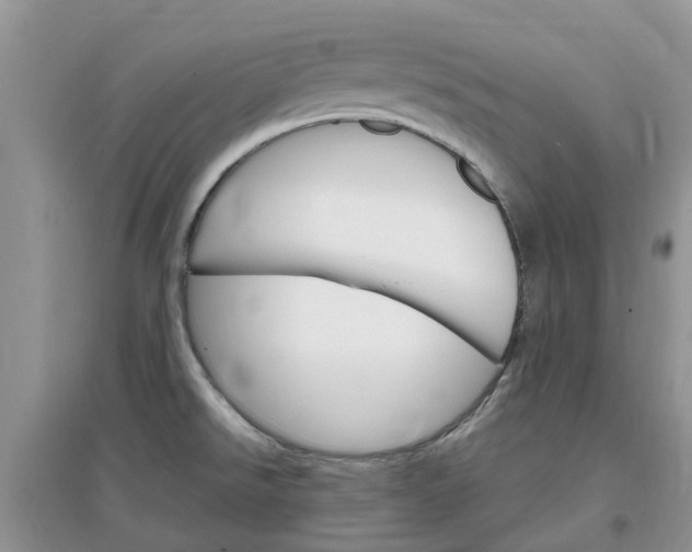 X0000097671526200803142143