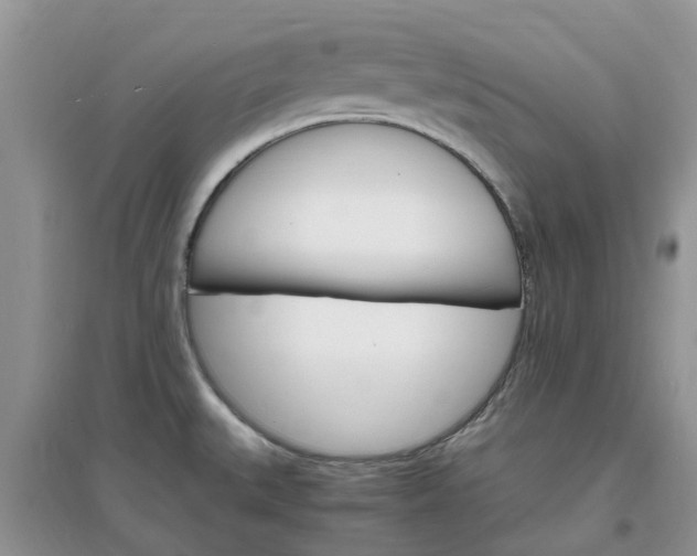 X0000097671527200803142143