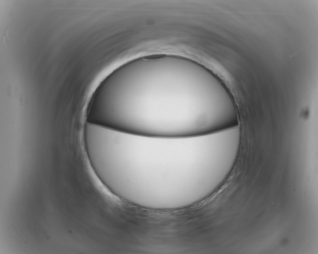 X0000097671528200803142143