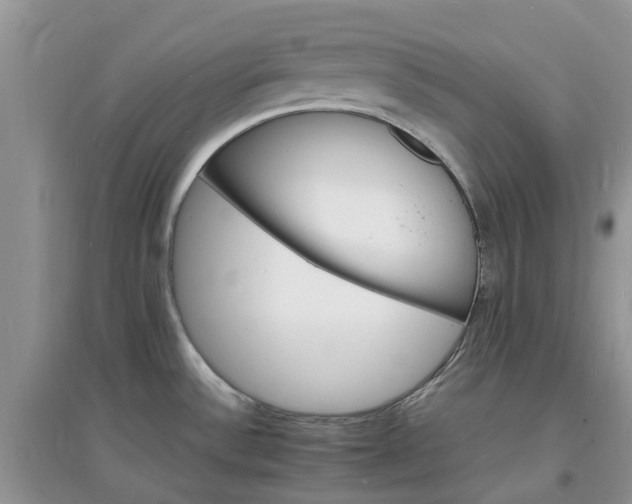 X0000097671532200803142143