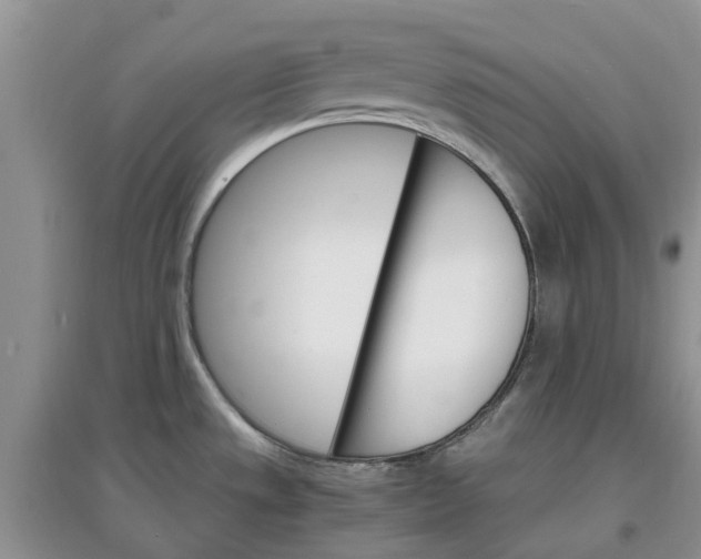 X0000097671533200803142143