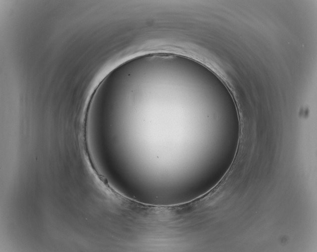 X0000097671536200803142143