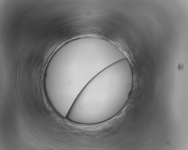 X0000097670001200803211953