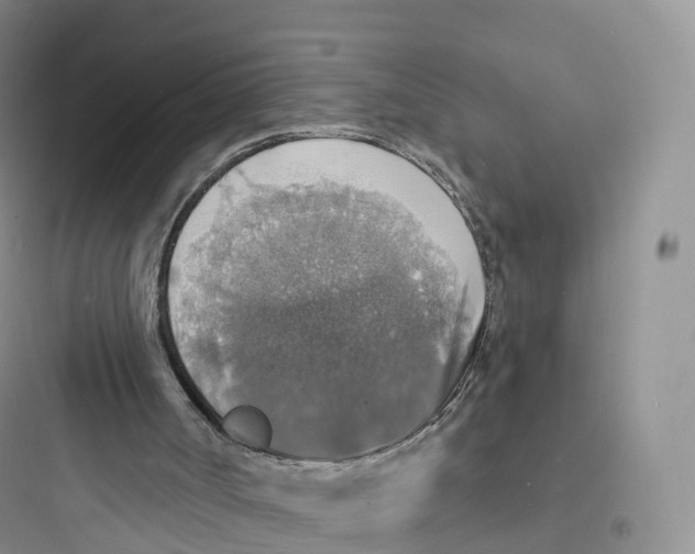 X0000097670002200803211953