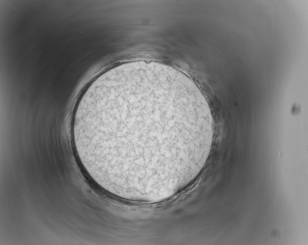 X0000097670004200803211953