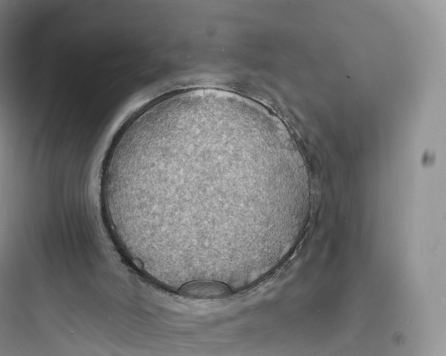 X0000097670006200803211953