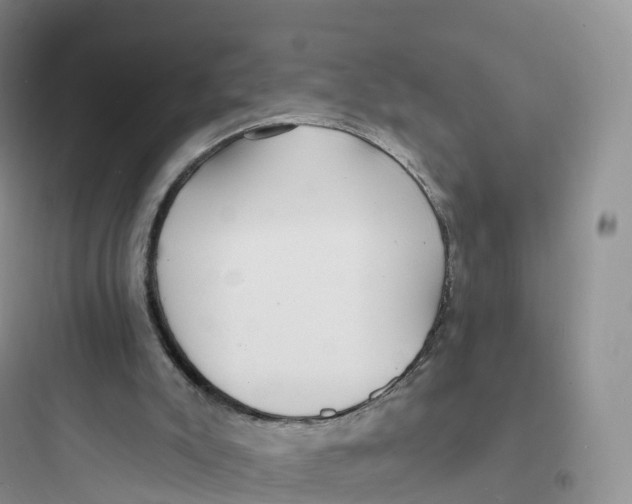 X0000097670007200803211953