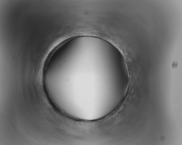 X0000097670008200803211953