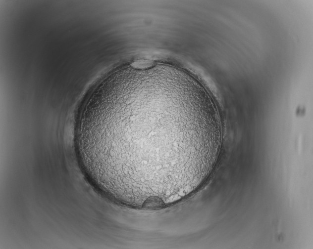 X0000097670010200803211953
