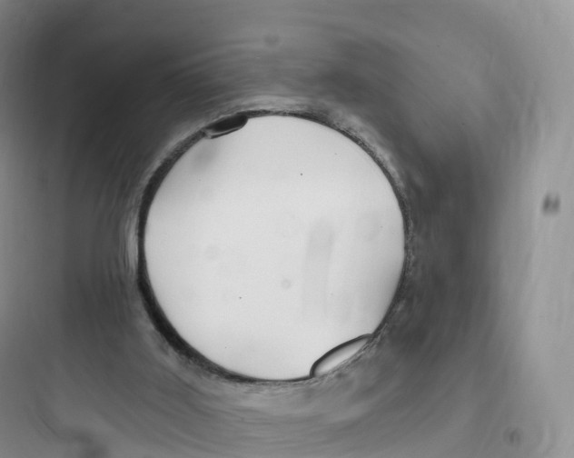 X0000097670011200803211953