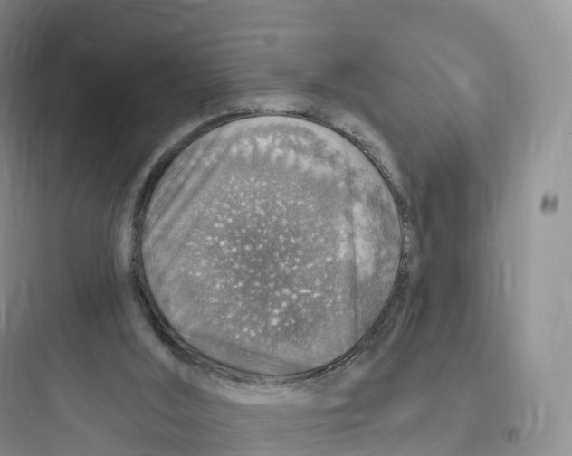 X0000097670012200803211953