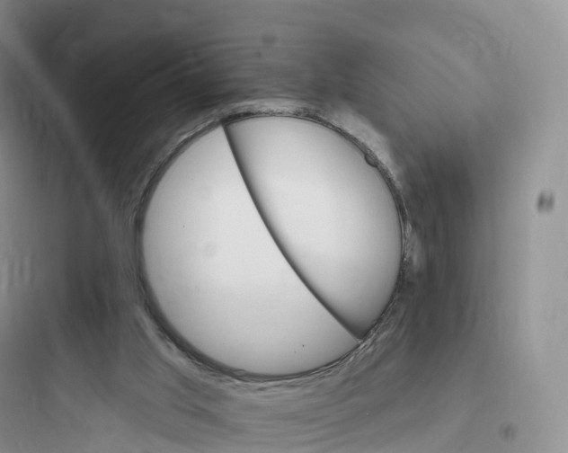 X0000097670013200803211953