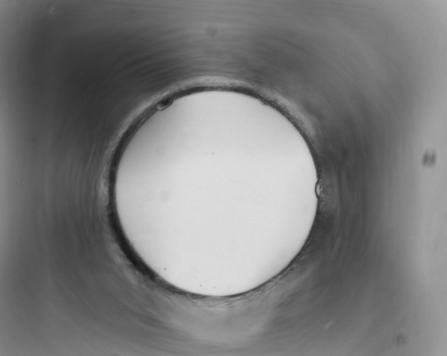 X0000097670015200803211953