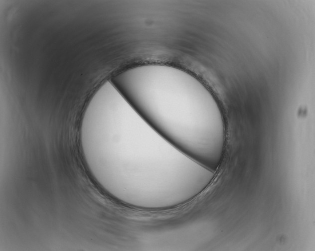 X0000097670017200803211953