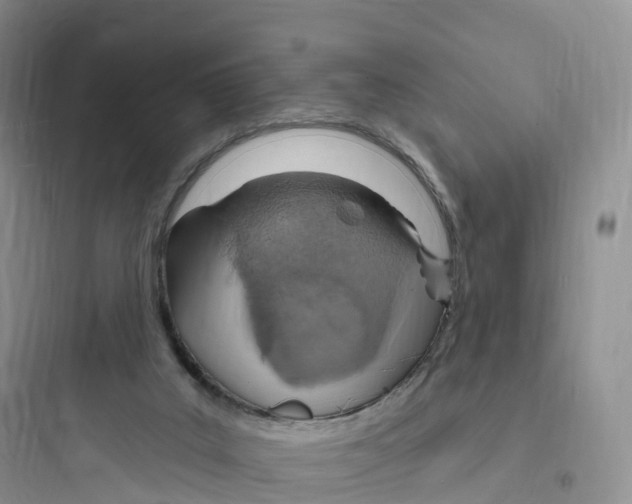 X0000097670019200803211953
