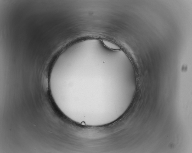 X0000097670020200803211953
