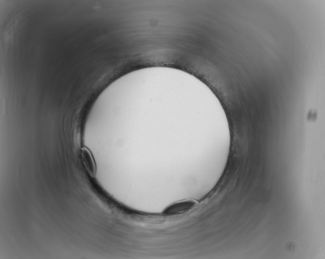 X0000097670021200803211953
