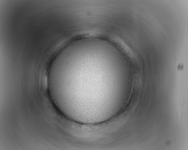 X0000097670022200803211953