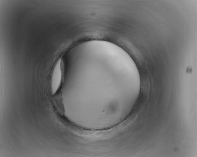 X0000097670023200803211953
