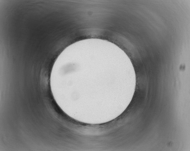 X0000097670024200803211953