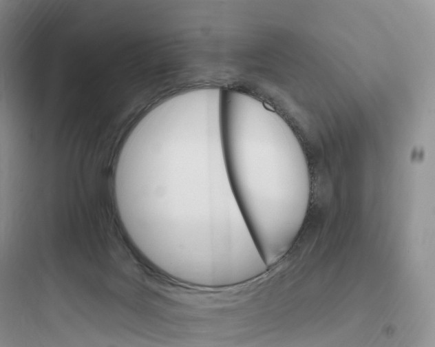 X0000097670027200803211953