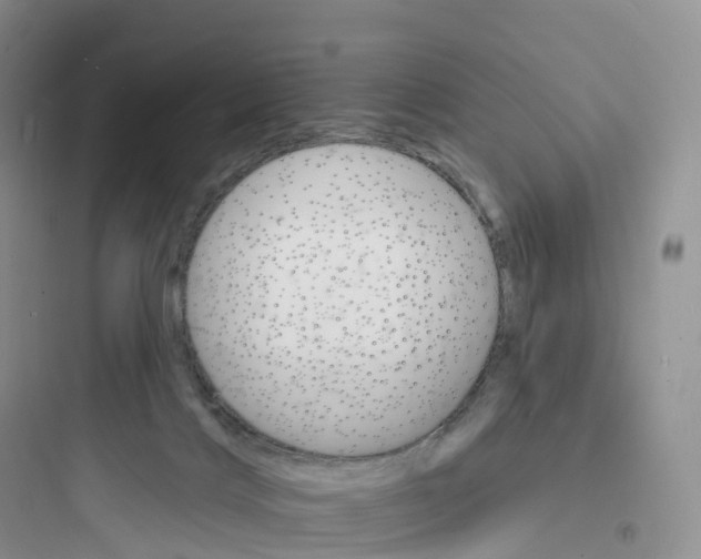 X0000097670028200803211953