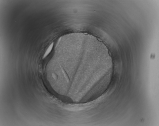 X0000097670029200803211953