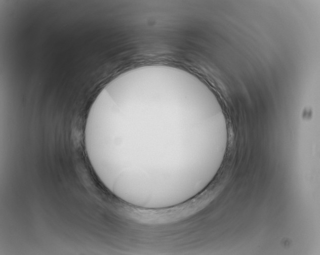 X0000097670030200803211953