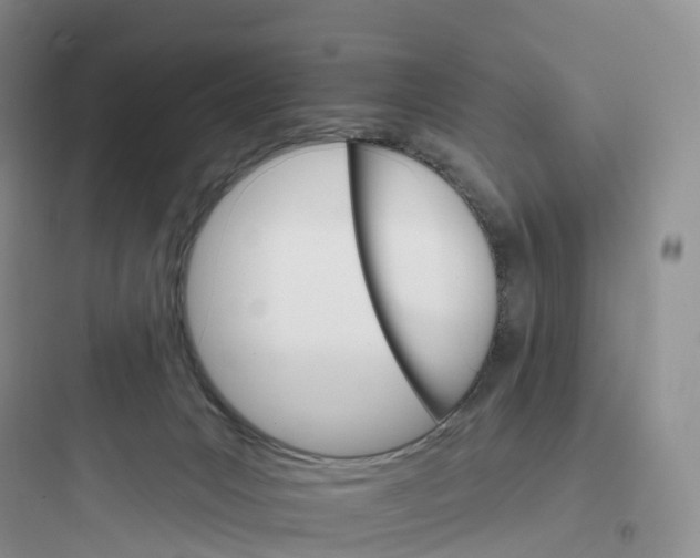 X0000097670031200803211953