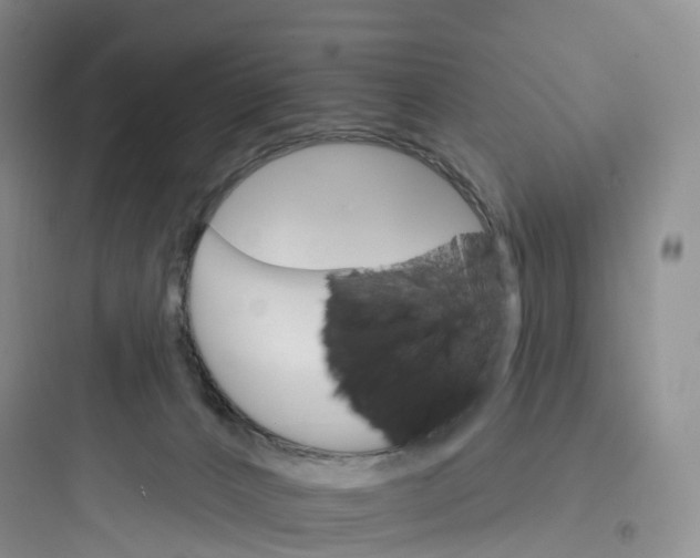 X0000097670032200803211953
