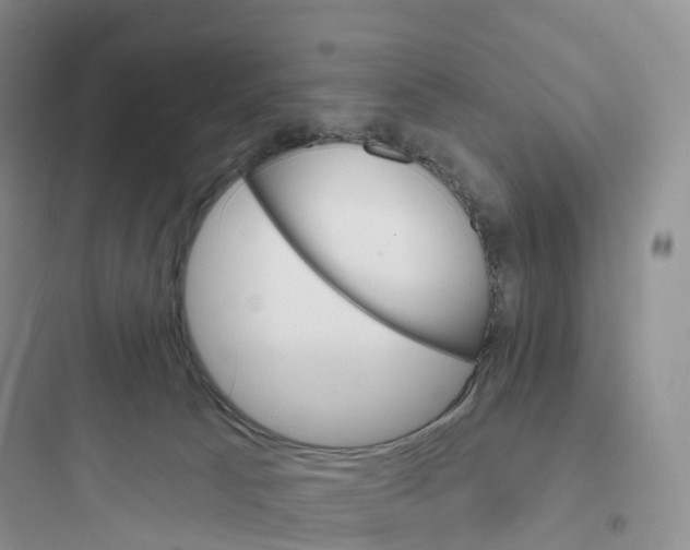 X0000097670033200803211953