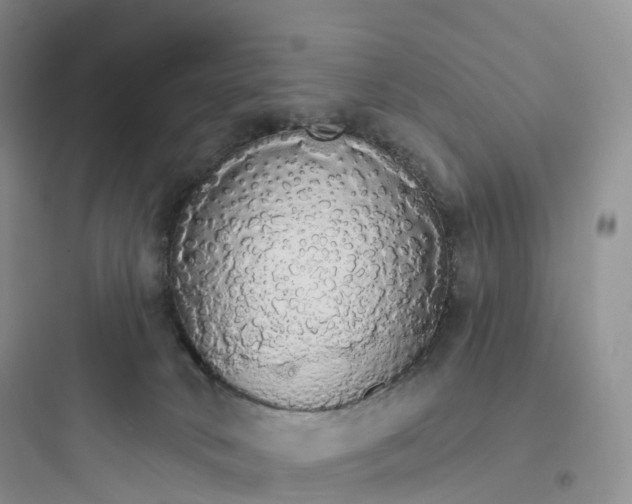 X0000097670034200803211953