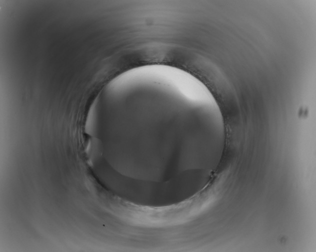 X0000097670035200803211953