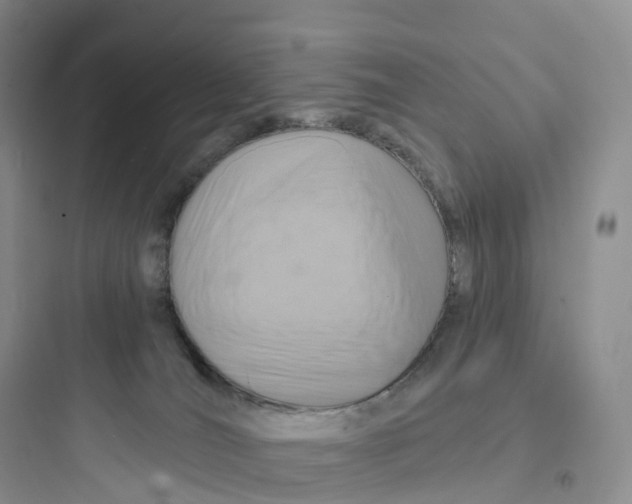 X0000097670036200803211953