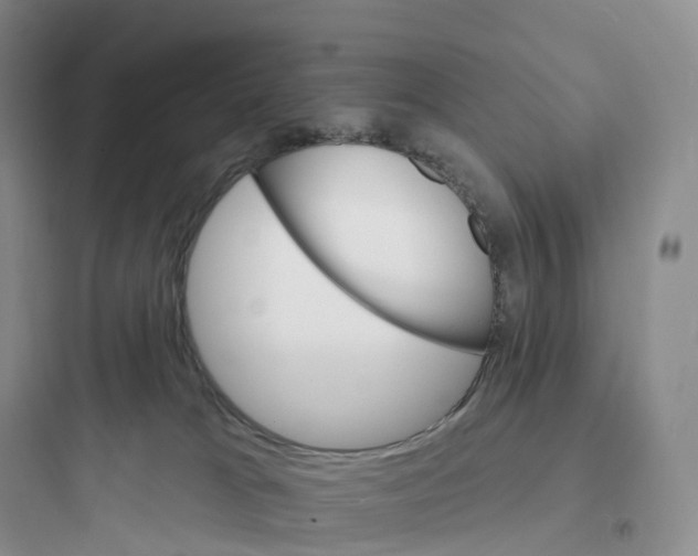 X0000097670037200803211953