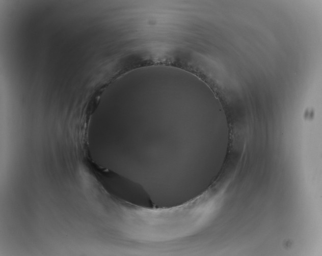 X0000097670039200803211953