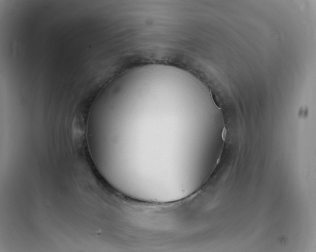 X0000097670040200803211953