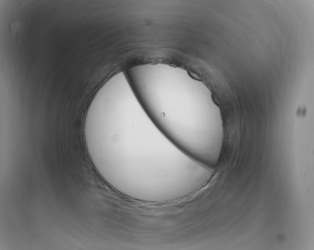 X0000097670041200803211953