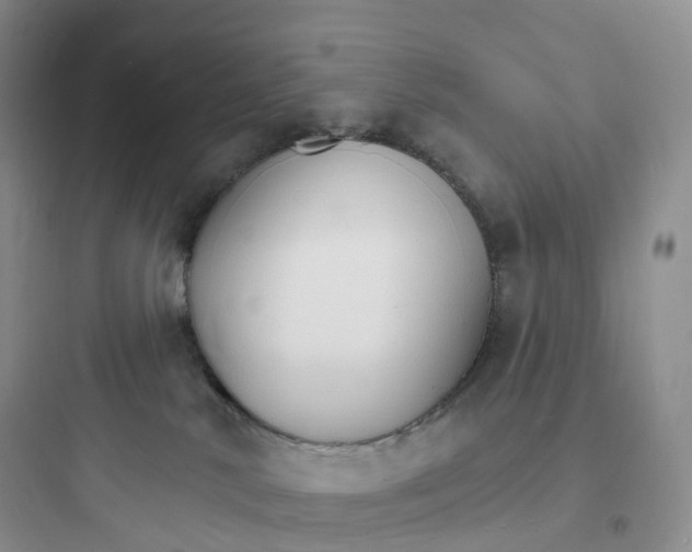 X0000097670042200803211953