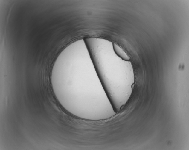 X0000097670044200803211953
