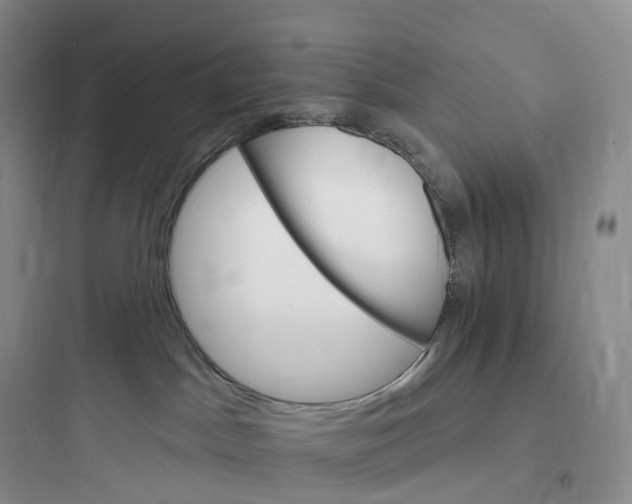 X0000097670045200803211953