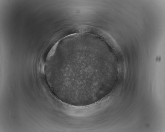 X0000097670046200803211953