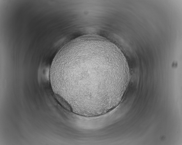 X0000097670047200803211953